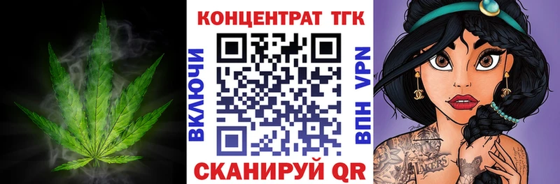 закладка  Городище  ТГК концентрат 