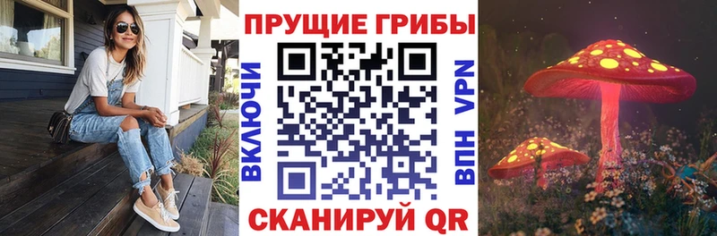 гидра ССЫЛКА  Городище  Псилоцибиновые грибы прущие грибы 